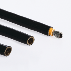 Electric Vehicle(EV)